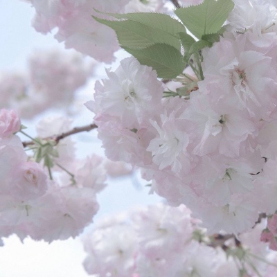 献县FurryQQ群介绍